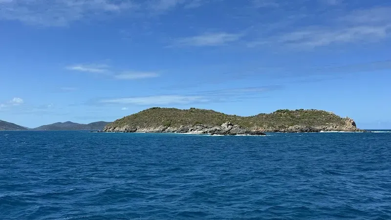 Great Dog Snorkeling - Nature attraction in the Caribbean