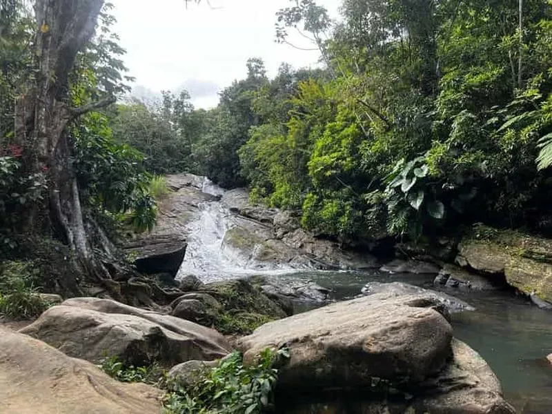 El Yunque Rainforest Water Slide and Luquillo Beach Tour