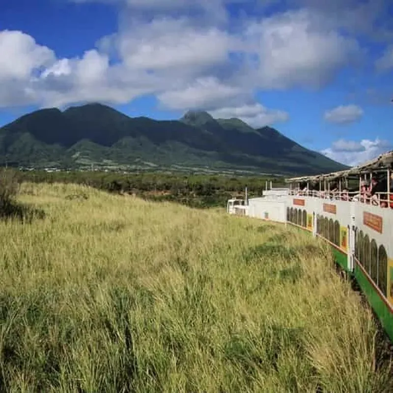 Sugar Train Tour and Drinks | Cruise Port Pickup and Drop-off