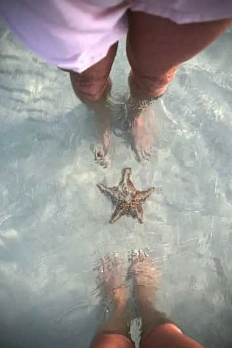 Caïmans : Starfish Point, Stingray City et Coral Gardens