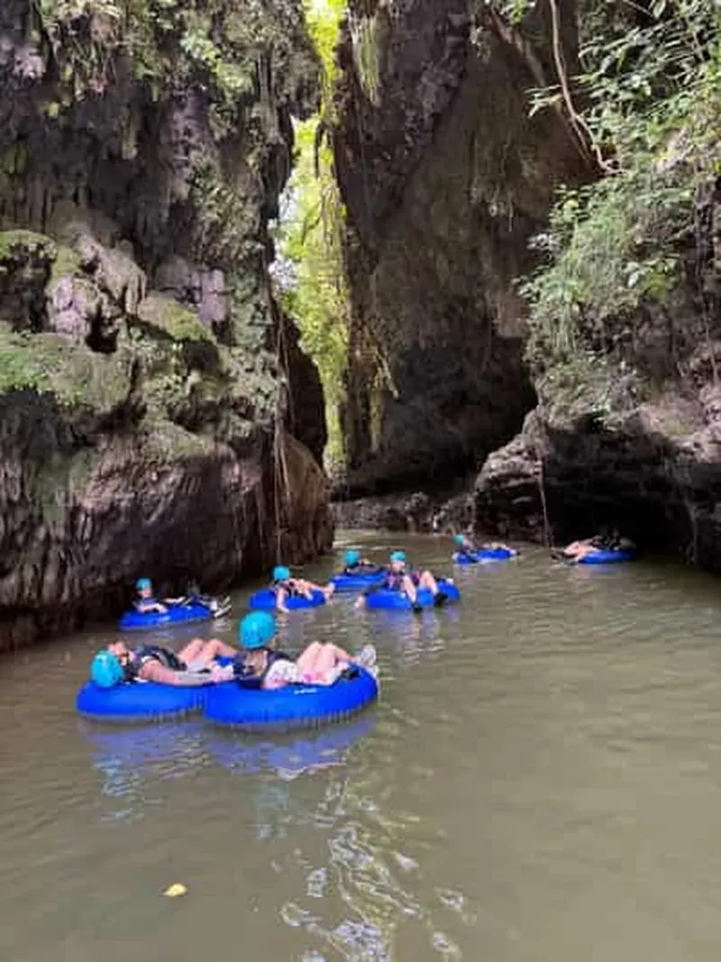 Puerto Rico: Tanama River tubing and Arecibo cave adventure
