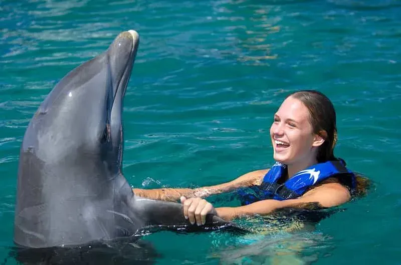 Punta Cana: Dolphin swims and interactions