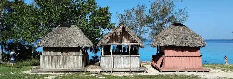 Excursion to the Zapata Swamp National Park