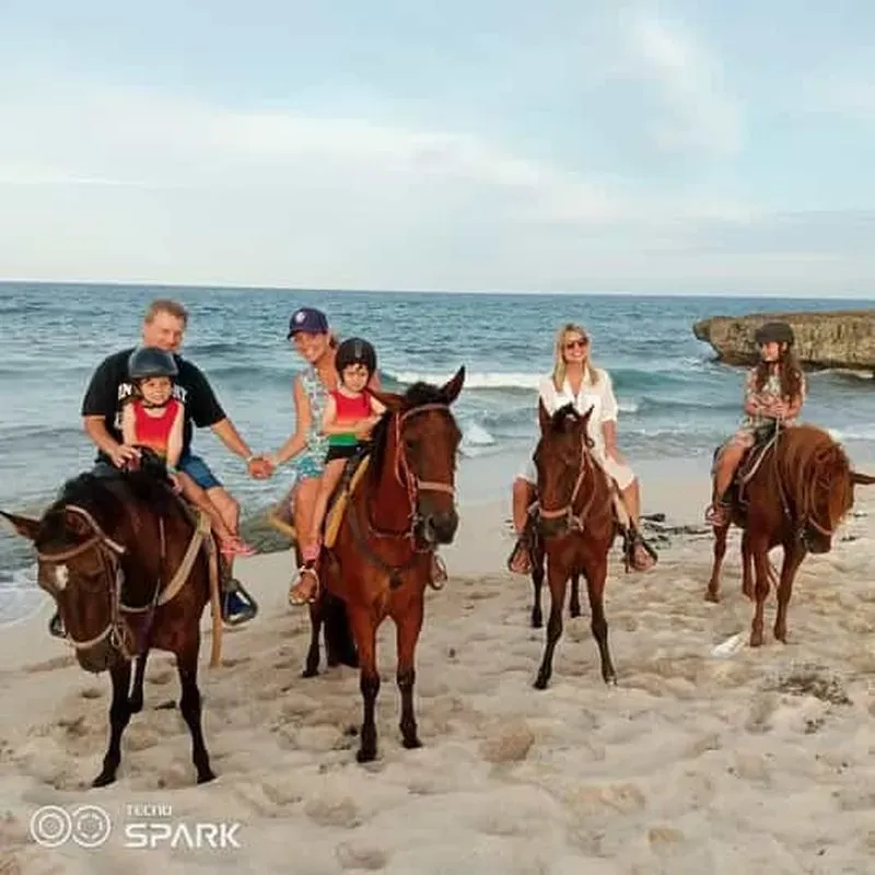 Aruba: Eco-trail and Horseback Riding on the Beach