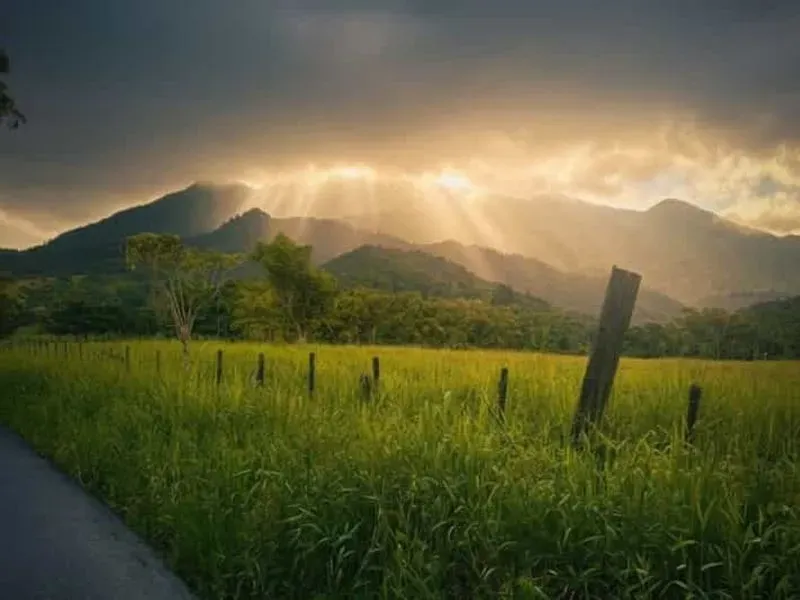 San Juan: El Yunque excursion, water slide, rope swing, and pickup