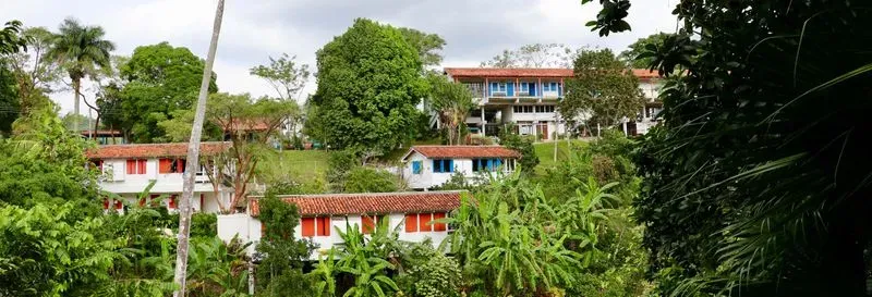 Excursion to the Viñales Valley and Las Terrazas