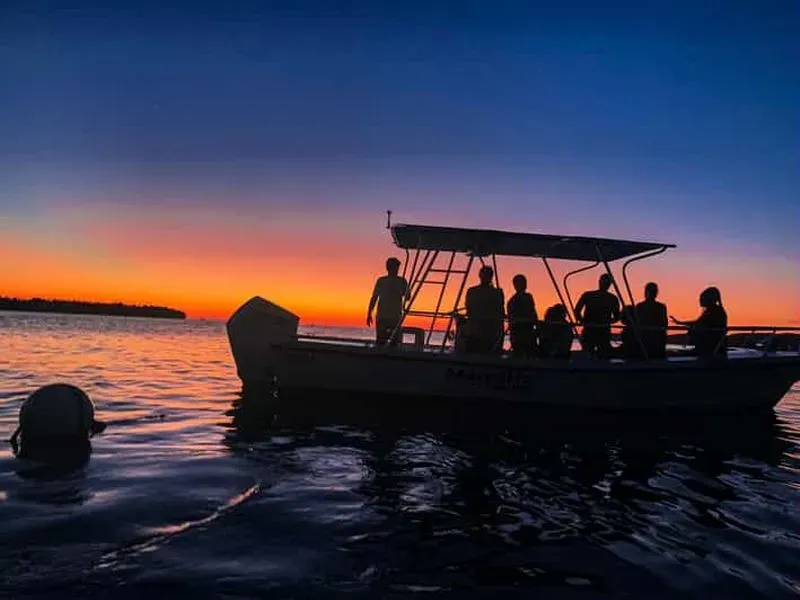 La Parguera: Sunset and Biobay or Night Biobay Cruise