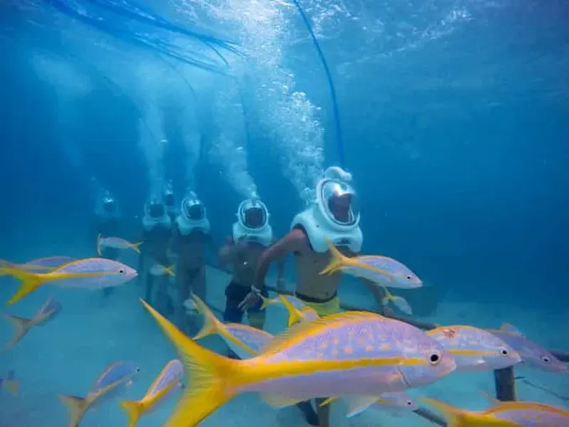 Aruba: De Palm Island Day Trip