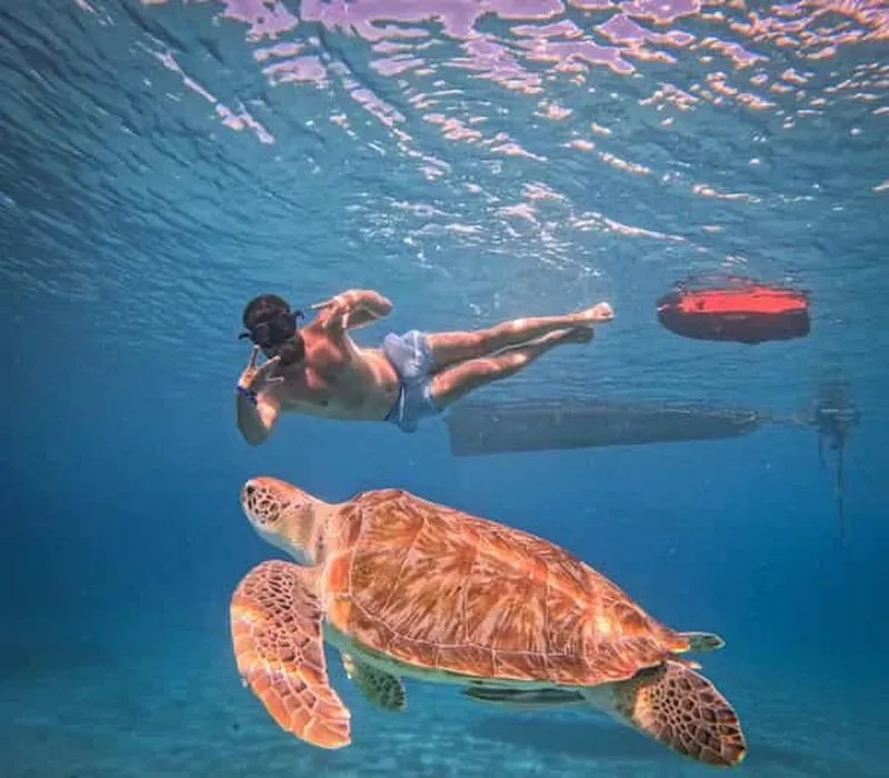 Curaçao: Playa Piskado Seabob Adventure (Sea Turtles)