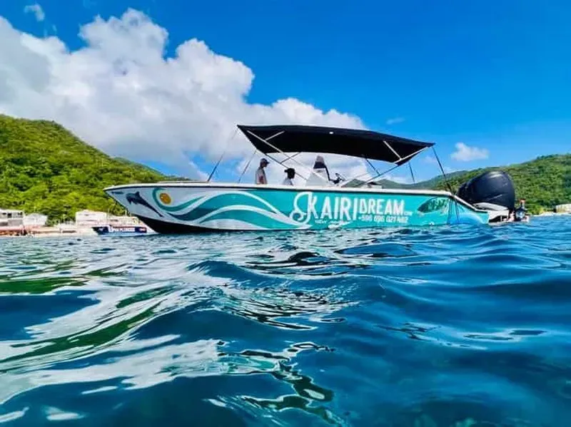 Martinique: Full Day Speed Boat, Dolphins & Turtles