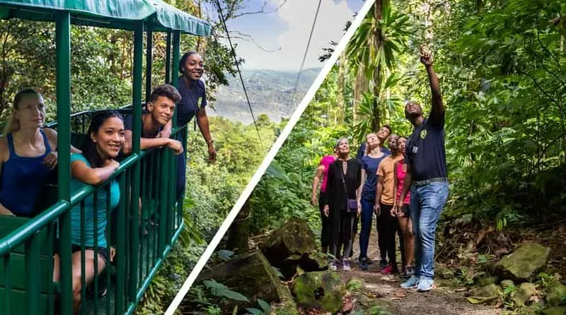 Saint Lucia: Aerial Tram Tour at Rainforest Adventures