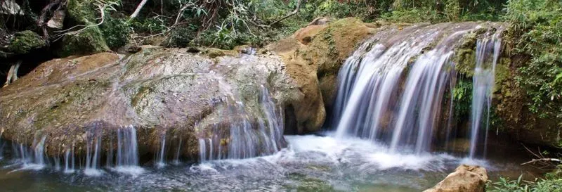 Excursion à Las Terrazas et à la cascade de Soroa