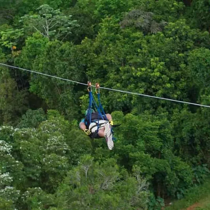 Puerto Rico: Toro Verde Adventure Park - The Monster Zipline