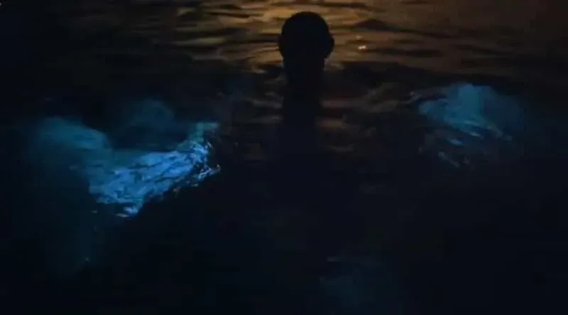 From San Juan: Bio Bay Magic & Rum Tasting Tour