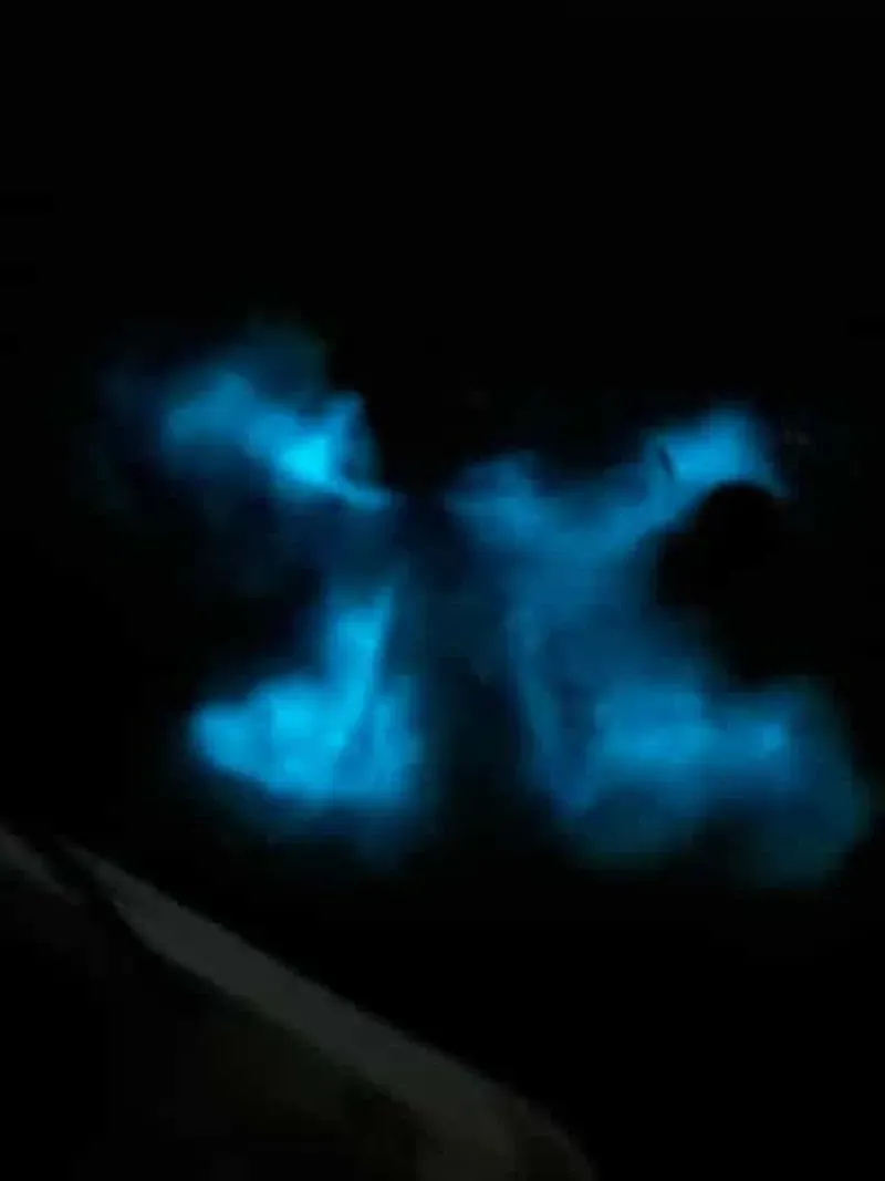 La Parguera: Bioluminescent bay boat outing