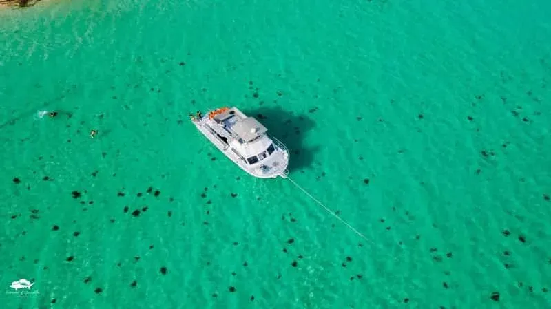 Fajardo: Snorkeling boat tour on Culebra Island