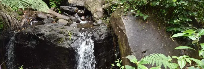 Dark View Falls Excursion