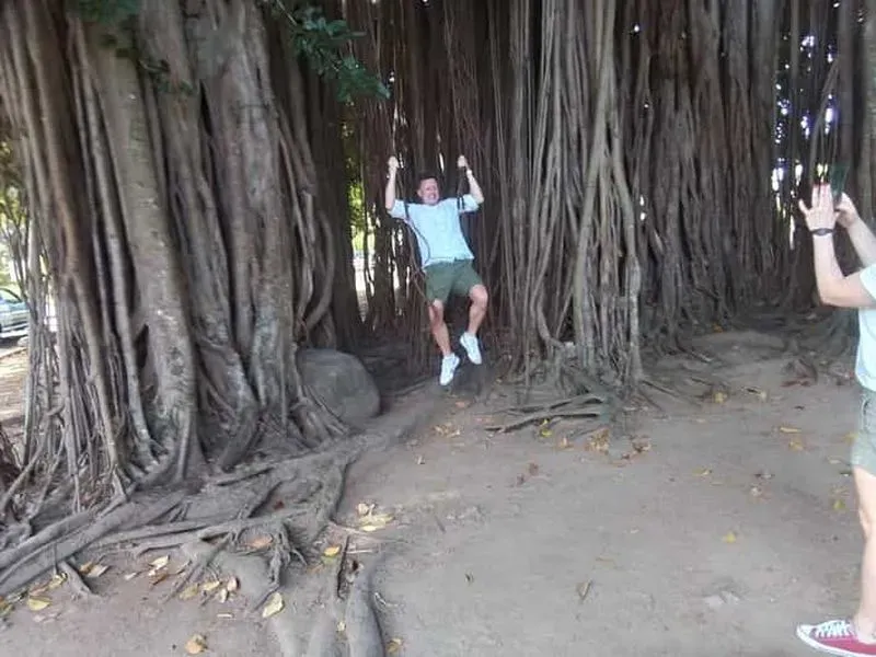 Roseau: Rainforest, Waterfalls, and Trafalgar Geysers Tour.