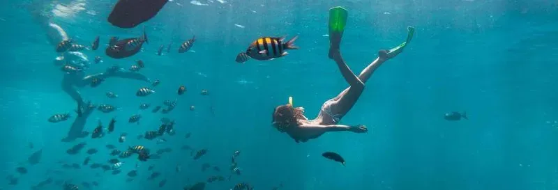 Snorkeling in Havana