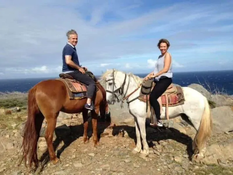 Aruba: 2-Hour North Coast Horseback Ride for Experienced Riders