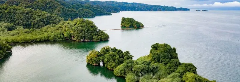 Excursion to Los Haitises National Park