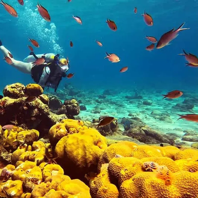 Curaçao: Private Scuba Diving Experience for Beginners.