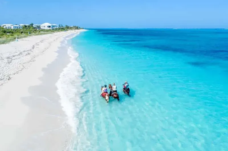 Providenciales: Horseback Riding Adventure on the Beach and in the Ocean