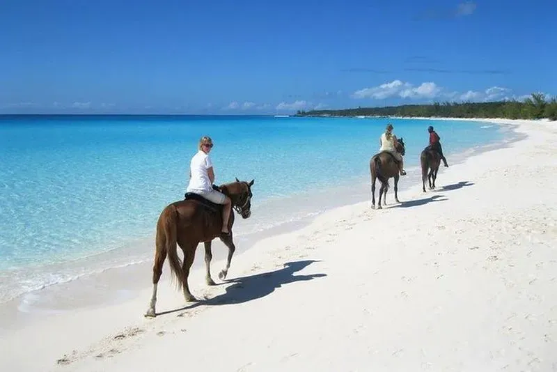 Horseback Riding on Macao Beach from Punta Cana