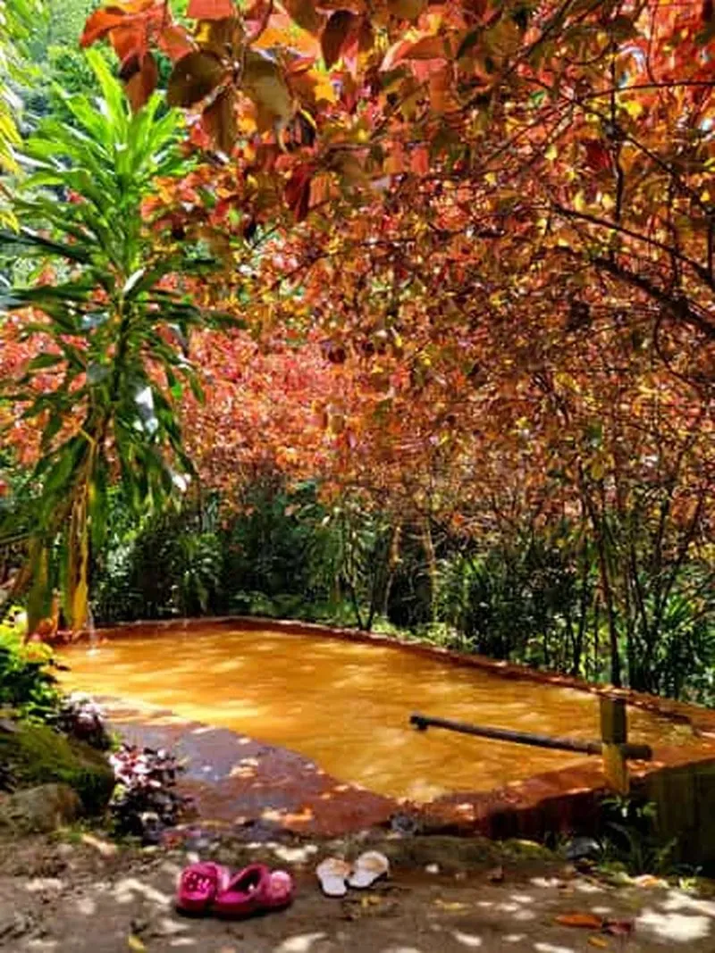 Dominica: Middleham Falls, Titou Gorge, and Trafalgar Falls…