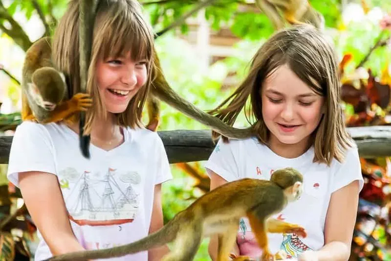 Punta Cana: Half-Day Monkey Land Safari and Plantation