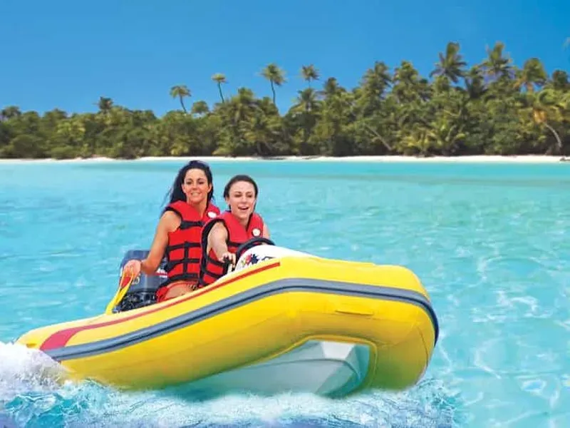 Saint Martin: 3-hour Rhino Safari Excursion