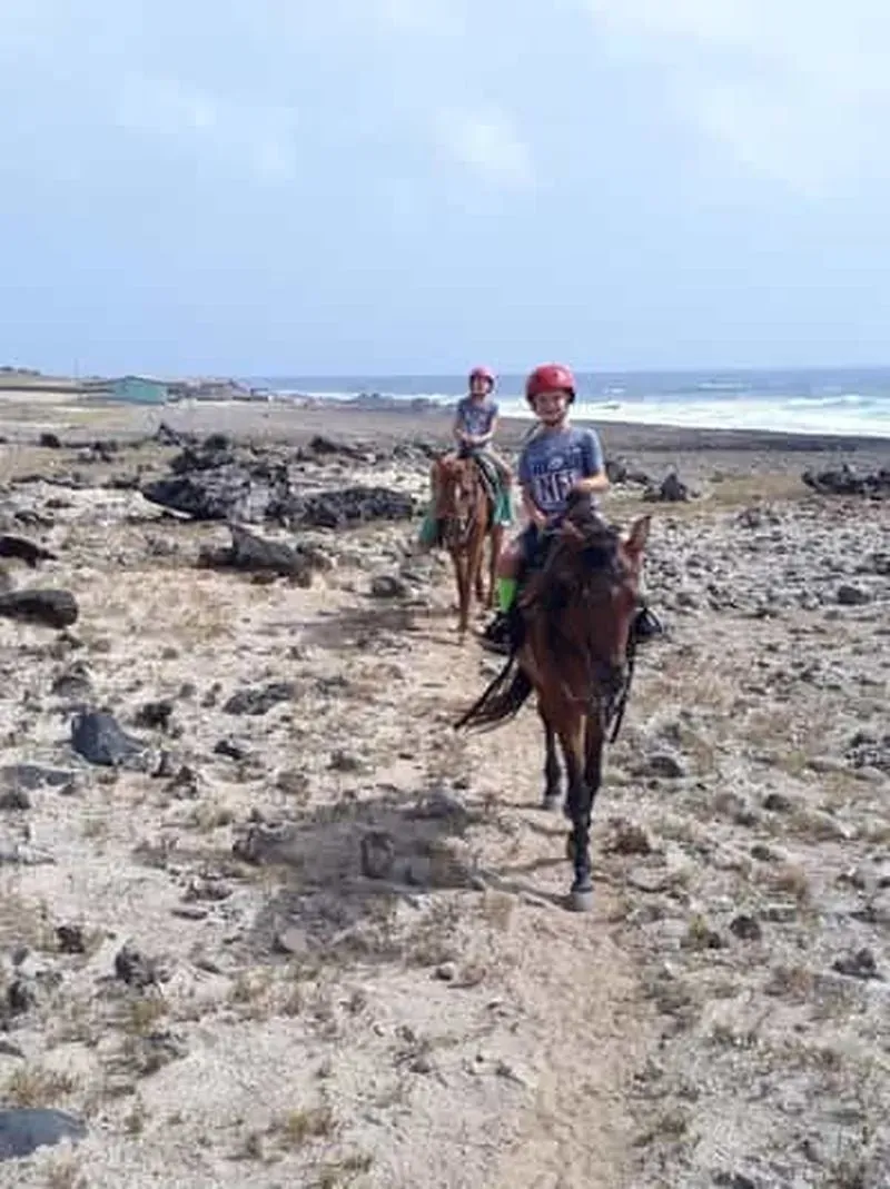 Aruba: 1.5-Hour Horseback Riding at Urirama Cove Beach