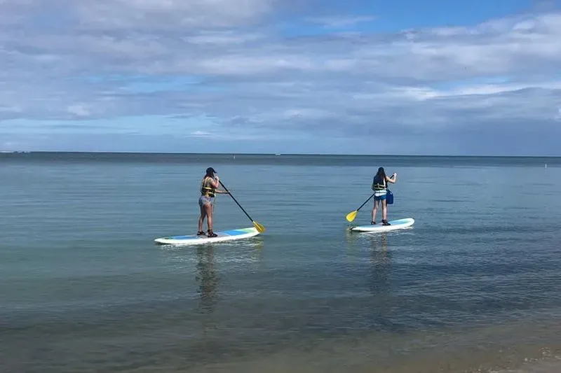 Paddle surf rental in Fajardo