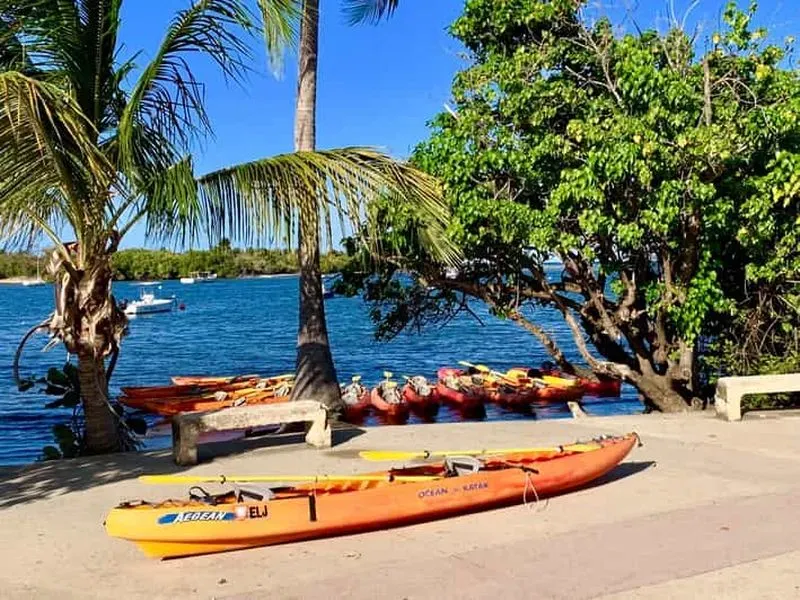 Fajardo: Kayaking in the Bioluminescent Lagoon or Moonlight Kayak Tour