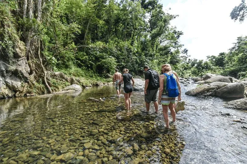Departing San Juan: El Yunque Rainforest & Bio Bay Kayak Combo