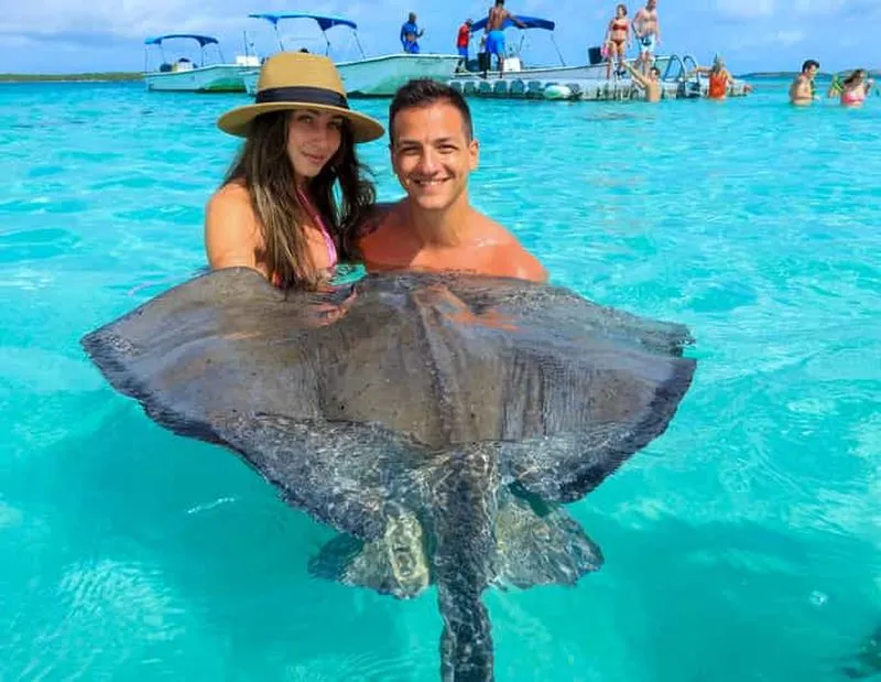 Antigua: Stingray City experience with round-trip transfer - experience in Saint John's, Antigua and Barbuda