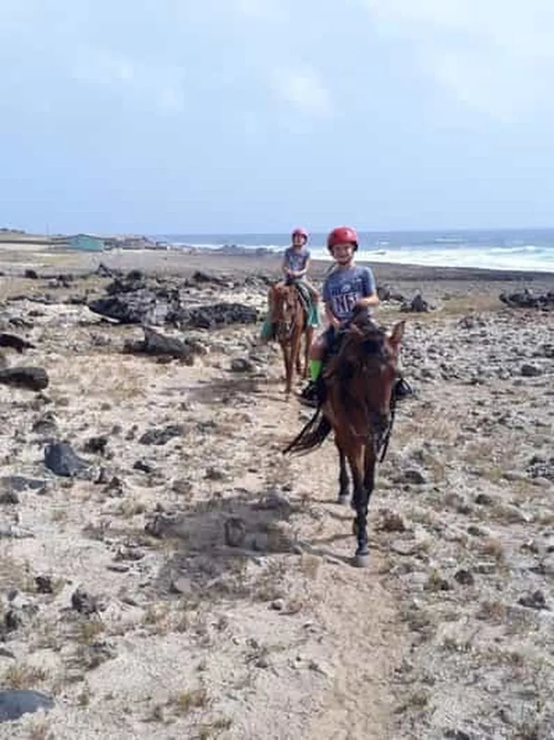 Aruba: 1.5-Hour Horseback Riding at Urirama Cove Beach - experience in Aruba