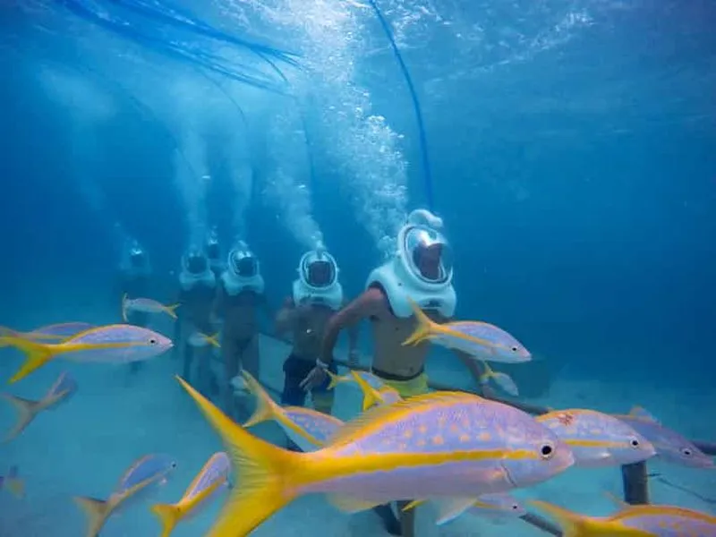 Aruba: De Palm Island Day Trip
