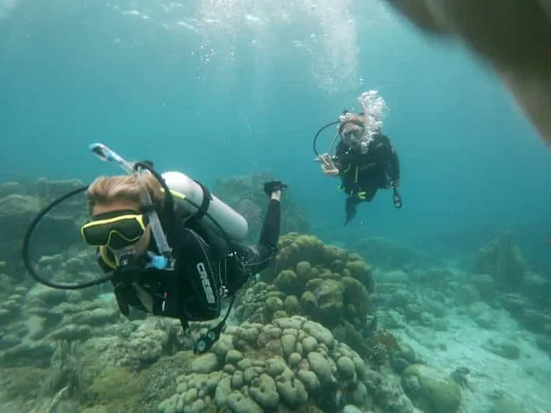 Aruba: Mangel Halto Reef & Hole in the Wall Shore Scuba Dive (Scuba Diving at Mangel Halto Reef and - experience in Aruba