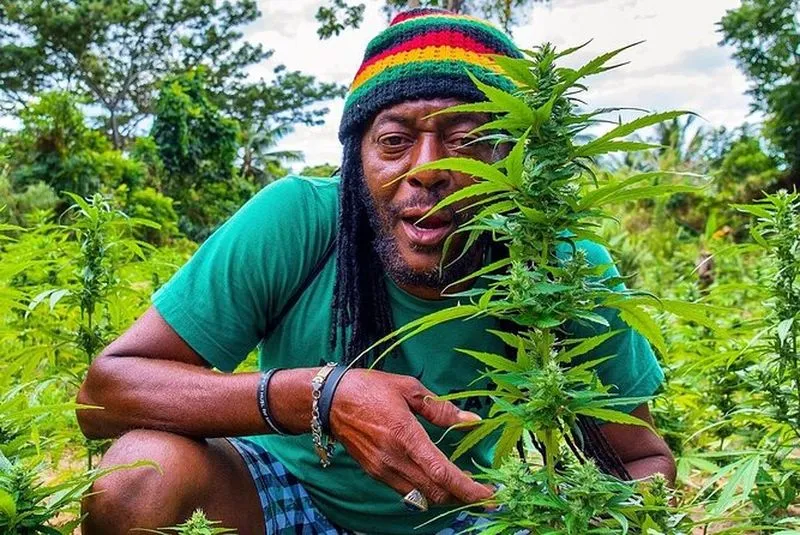 ATV tour in Montego Bay