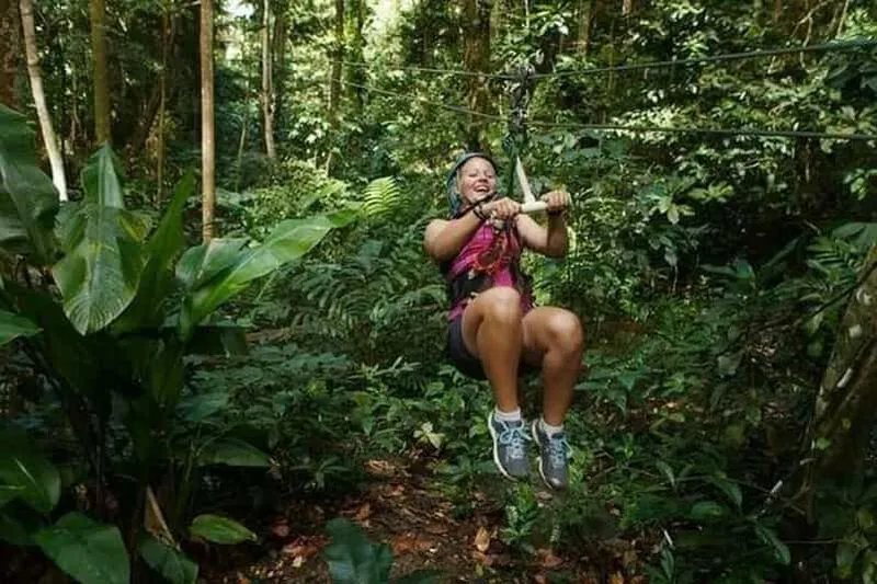 Babonneau/Castries: Rainforest hiking, zip lining, and tram - experience in Castries, St. Lucia