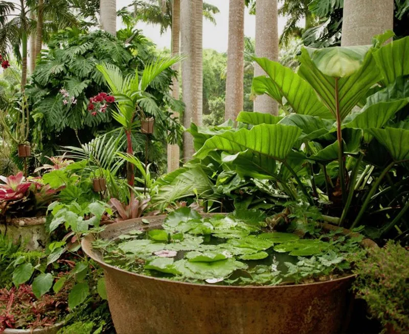 Barbados: Harrison's Cave and Hunte's Gardens Tour