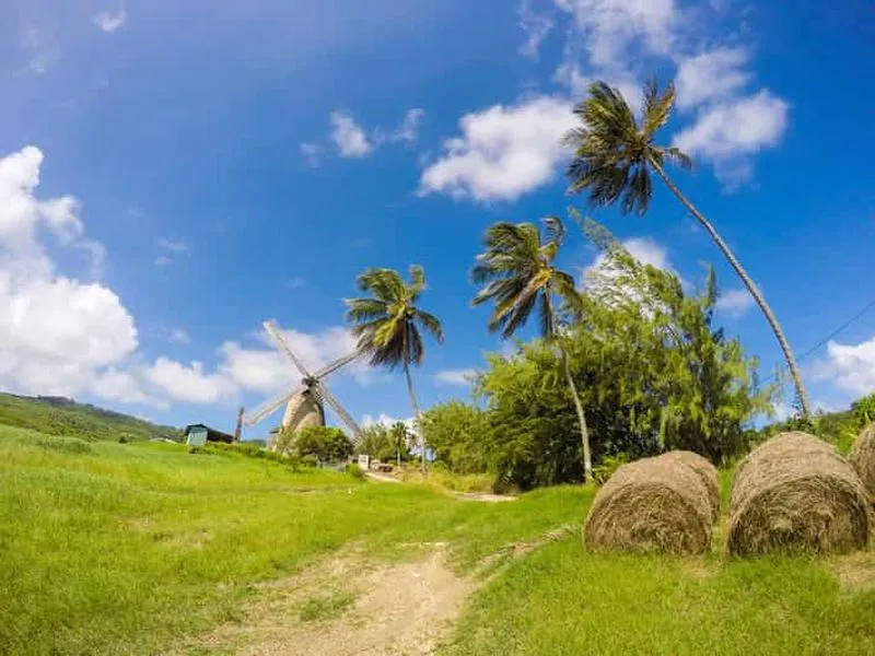 Barbados Highlights Tour