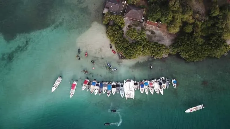 Boat excursion in Robert Bay with liqueurs and local meal