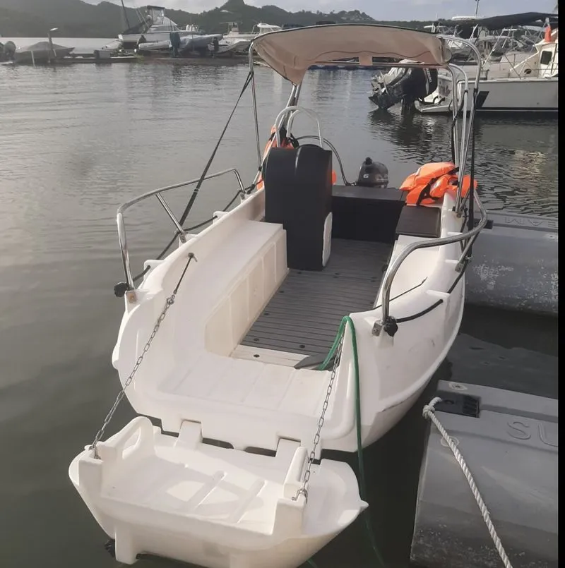 Boat rental - Whaly 455 (Motorboat)