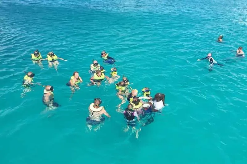 Bridgetown: Boat Cruise in Carlisle Bay to Observe Turtles and Shipwrecks