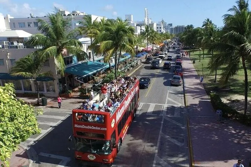 Bus Tour and Cruise in Miami