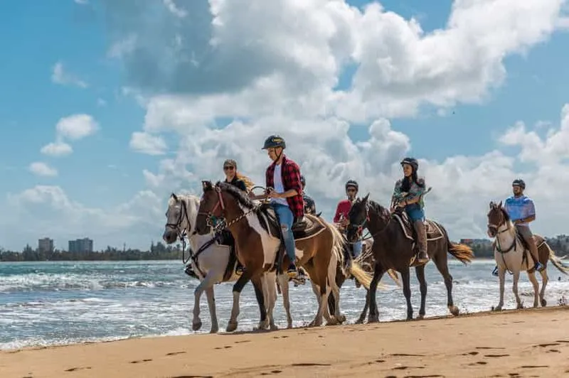 Carabalí Rainforest Park: beach horseback ride - experience in Puerto Rico