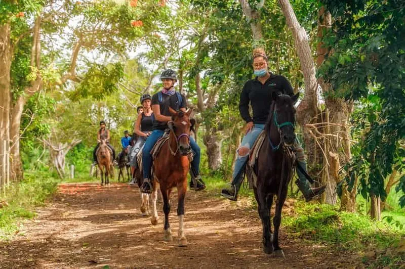 Carabalí Rainforest Park: Rainforest Horseback Riding - experience in Puerto Rico