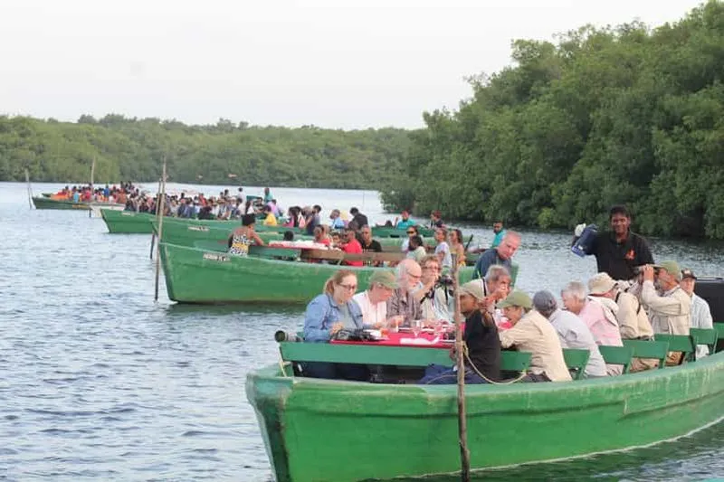Caroni: Bird Sanctuary and Swamp Tour